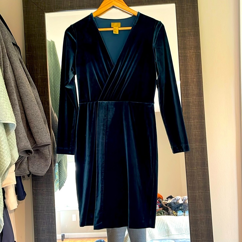 Gold Label H&M Dark Green Velvet Dress